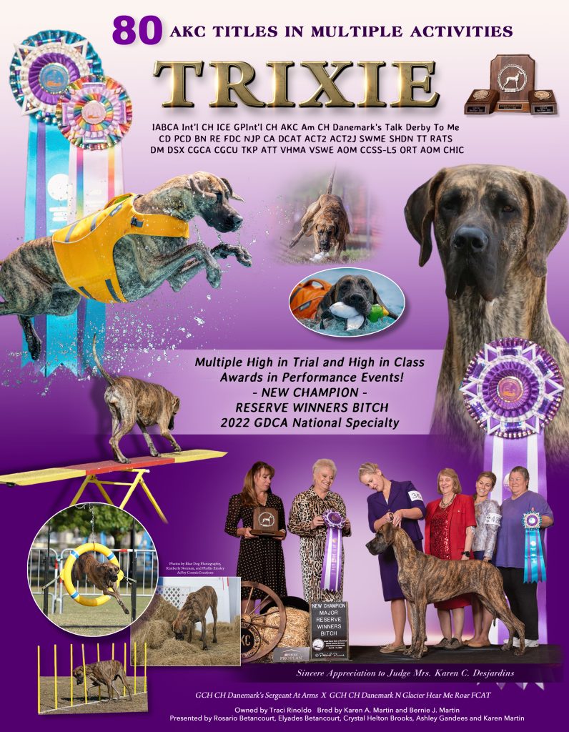 Trixie’s 2022 champion tribute featuring her conformation, rally, water, scent, and performance achievements.
