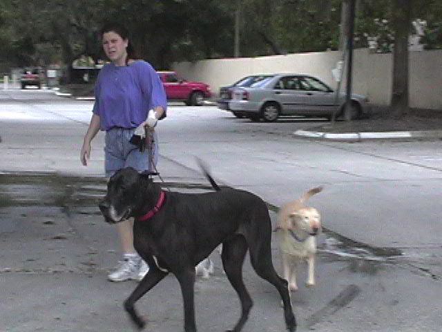 Traci with her dogs Dante, Buca, and Kyra.